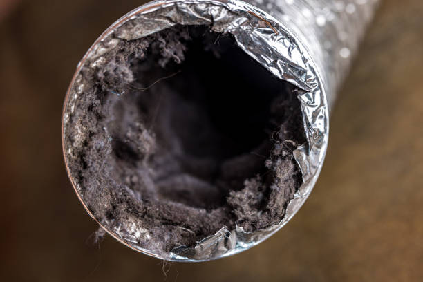 Best Emergency Air Duct Cleaning  in Sikeston, MO